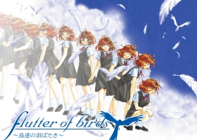 flutter of birds ～鳥達の羽ばたき～